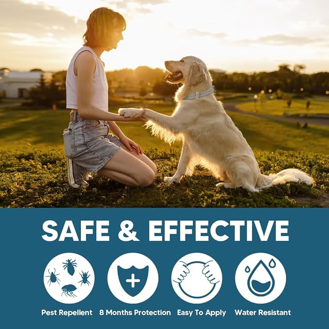 fcesiweg Flea Collars for Dogs Large, Tick Collar for Dogs, Flea Dog Collar,Gentle and Safe for Daily Use, 8 Months Protection-1P