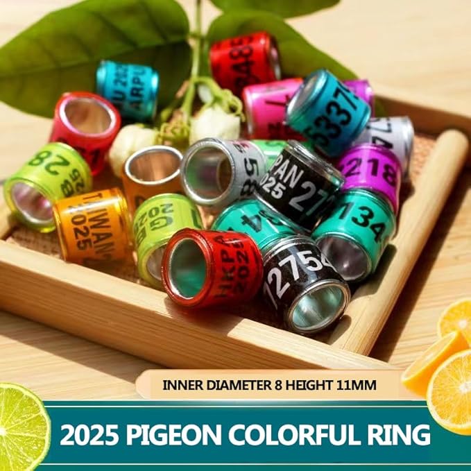 100Pcs Multicolor Aluminium Pigeon Leg Rings Dove Leg Rings with 2025 AU Pigeon Foot Ring with Word Earring, Quality Durable, Quail Leg Bands Baby Chick Leg Bands Pigeon Bands Chicken Leg Bands Rings