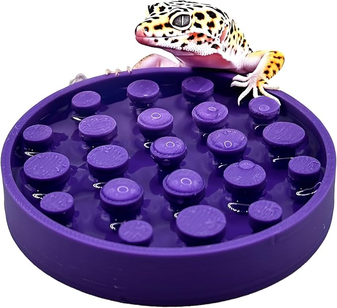 Leopard Gecko Water Bowl - Walkable Water Bowl - Tarantula Water Bowl (Lavender Bliss)