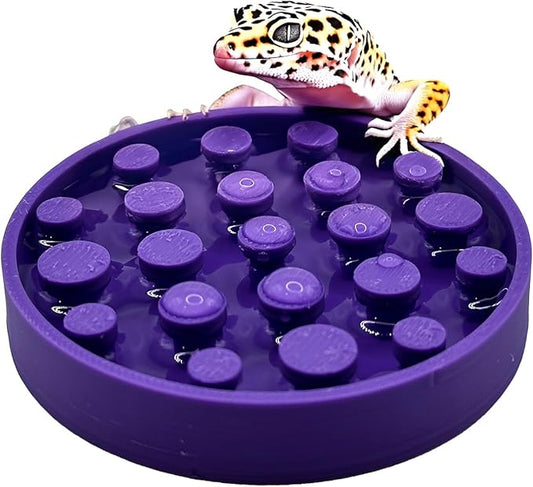 Leopard Gecko Water Bowl - Walkable Water Bowl - Tarantula Water Bowl (Lavender Bliss)