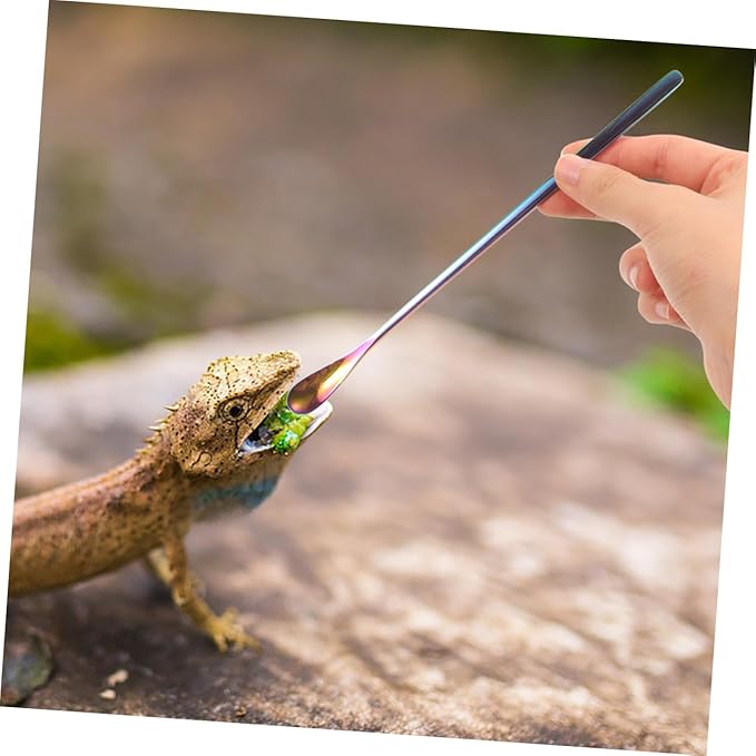 POPETPOP 3pcs Leopard Gecko Food Scoop Reptile Spoons for Wet Food Feeding Tool