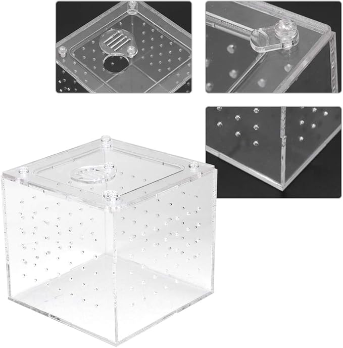 Reptile Breeding Tools, Reptile Hatching Supplies, Lizard Breeding Acrylic Box Case Insects House 1Pc Reptile Terrarium Feeder Snakes Spider