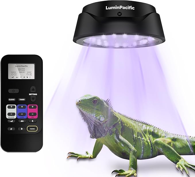 UVB Reptiles Light with Remote, UVA UVB FR Lamp for Rainforest & Desert Reptiles, Ferguson Zones 1-4, Timer Switch, 10 Dimmable, for Bearded Dragon, Turtle, Frog, Snake, Plant (1 Pack)