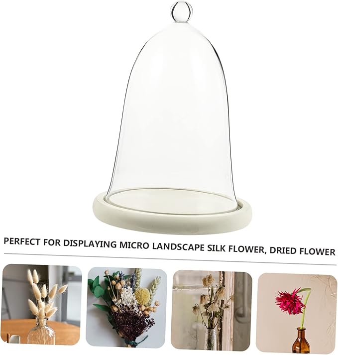 PRETYZOOM Preserved Flower Glass Cover Sealed Terrarium Small Dome Decor Car Interior Adornment