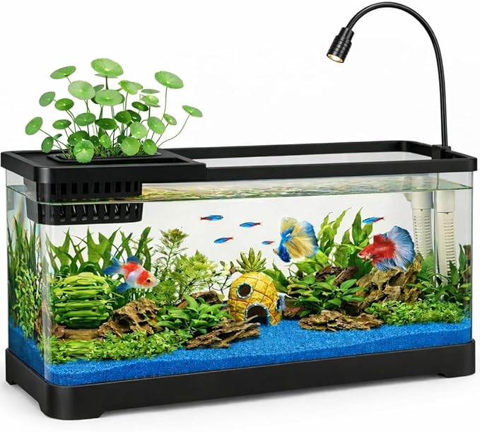 5 Gallon Fish Tank Aquarium Starter Kit with USB LED Light & Quiet Filter, Large Desktop Betta Tank with Decorations, Starter Aquarium for Home Office(Large Black)
