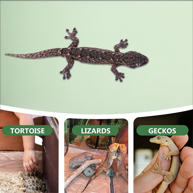 Yardwe Reptile Carpet Lizard Bedding Mat for Bearded Dragon Snake Lizard Tortoise Gecko Soft Eva Non-Slip Substrate for Terrarium Easy Clean Durable