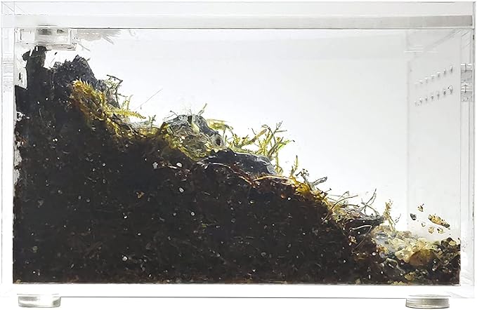Herpcult Magnetic Acrylic Mini-Flat Enclosure 3 x 4 x 2.5