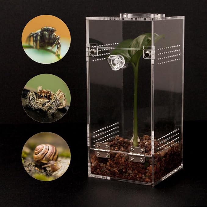 Jumping Spider & Tarantula Enclosure, Snail & Praying Mantis Habitat, Insect & Small Reptile Terrarium (6.8x3.1x3.1inch)