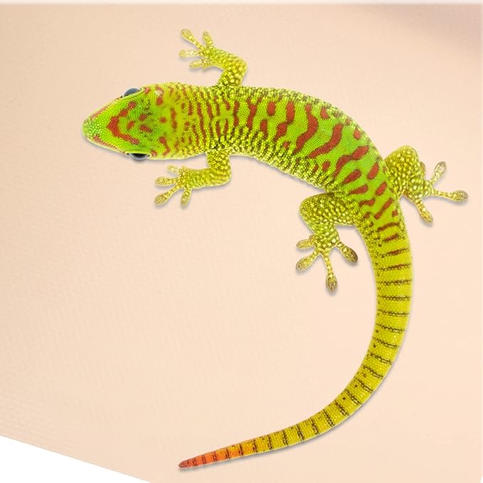 POPETPOP Reptile Carpet for Bearded Dragons Leopard Geckos and Snakes Soft Substrate Pad for Terrarium Bedding and Easy to Accessories