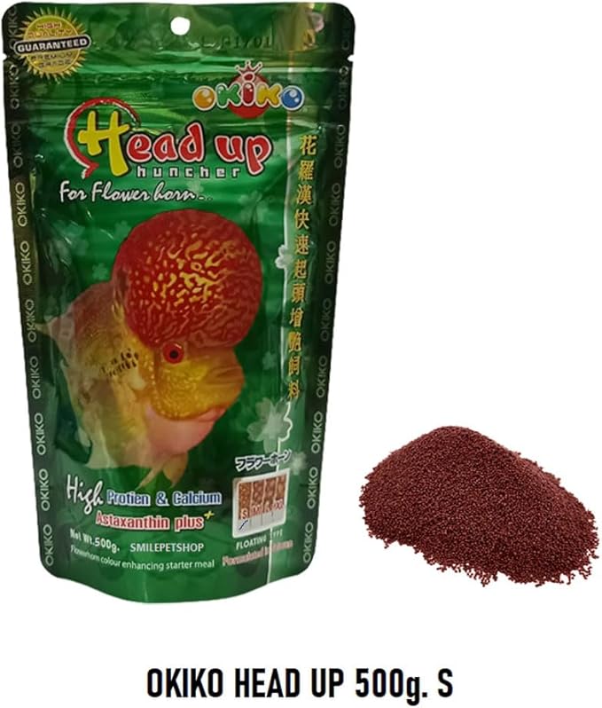 Flowerhorn Fish Food Floating Pellets Small 1 MM Head Up Quickly Huncher Formula High Protein Tropical Fish Feed Astaxanthin Plus Color Enhancing Healthy Fast Growth 500g(1.76 Oz.)