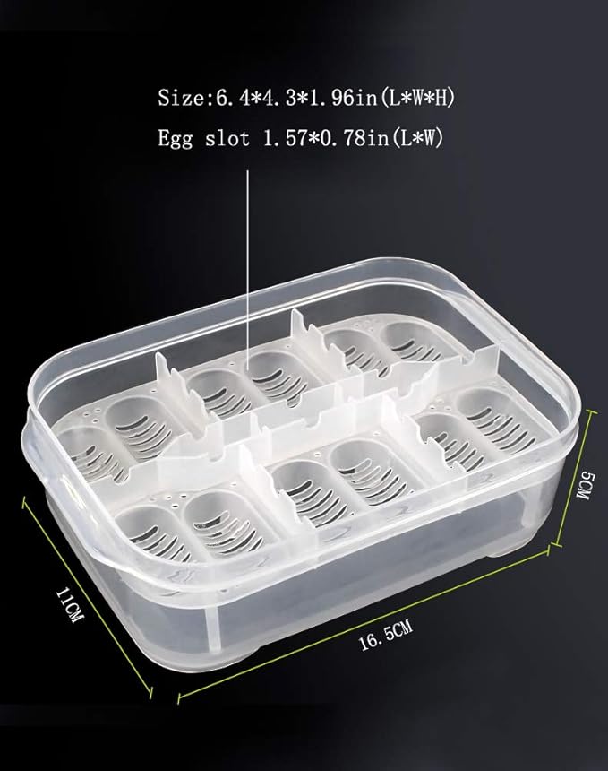 OMEM Reptile Breeding Box, Reptile Egg Incubators, Hatchery Box, for Hatching Gecko, Lizards, Lions Mane, Reptiles (Thermometer, Transparent Box)
