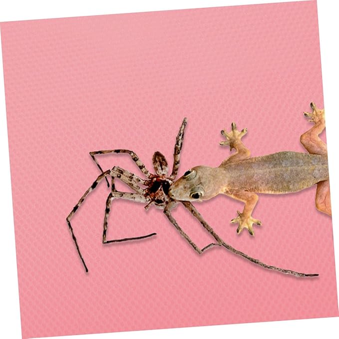 High-Density Soft Reptile Carpet Substrate Mat for Leopard Gecko and Tortoise Terrariums Easy-Cut and Wipe Bedding Accessory for Bearded Dragon Snake Lizard Habitat Pink