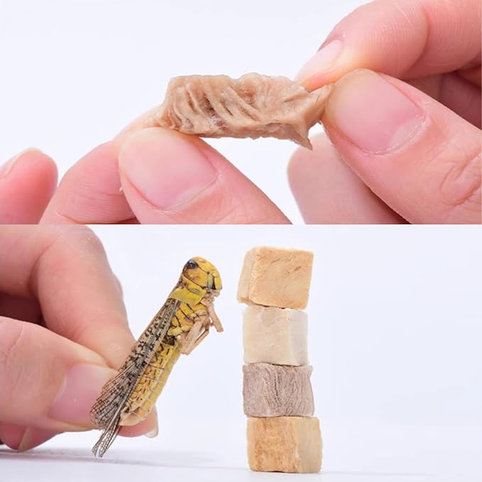 Turtle Food, 5 in 1 Meat Turtle Treats - Natural Freeze-Dried Chicken & Duck & Cod & Chicken Liver & Grasshopper - Human-Grade Real Meat - High Protein, 3oz