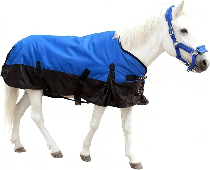 Mini Horse/Pony/Foal/Miniature Turnout Blanket, Medium Weight Winter Blanket for Horses, Donkey Blanket, 1680 Denier Waterproof &Breathable/220g Filling (Blue, 55in)