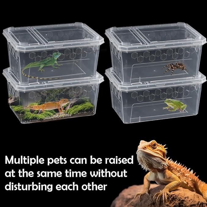 4 Pack Reptile Feeding Box Breeding Box Transparent Cage Habitat Hatching Container for Reptile Spider Scorpion Gecko Tortoise Treefrog