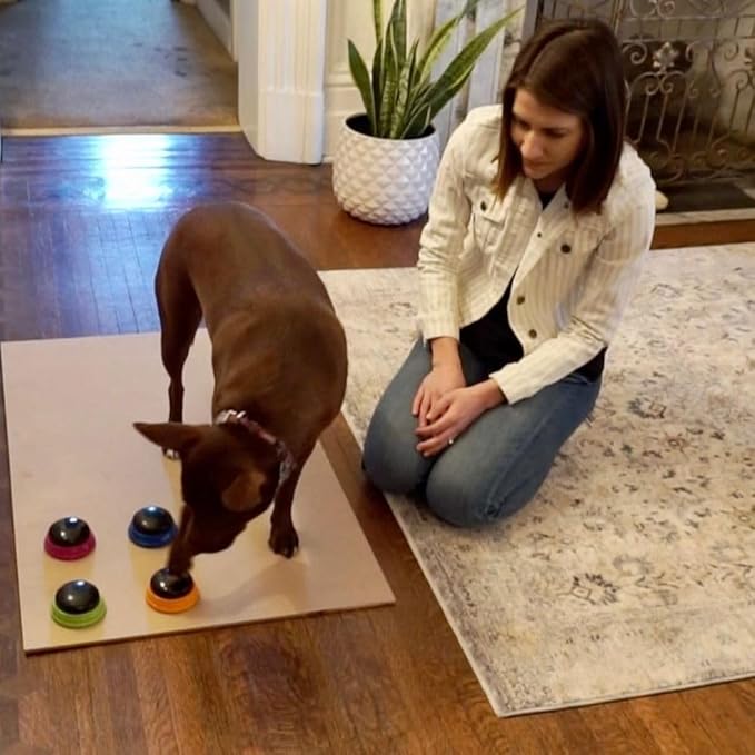 Hunger for Words Talking Buttons Starter Set - Recordable Buttons to Teach Your Dog to Communicate, Dog Training Games, Plastic, Multicolor