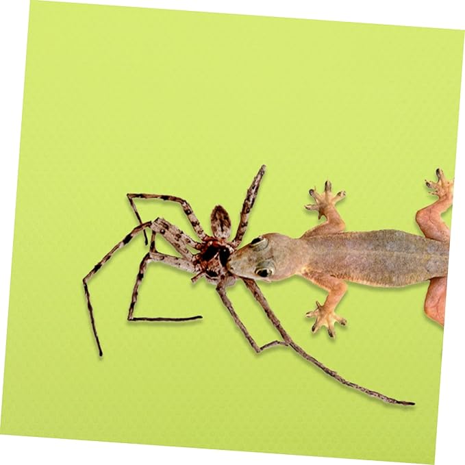 BESPORTBLE Leopard Gecko Bearded Dragon Snake Terrarium Liner Reptile Carpet Eva Pet Substrate Mat