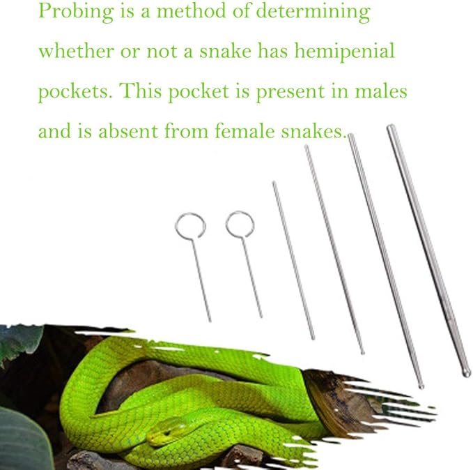 OMEM 5 Pack Reptiles Snake Sex Probe Portable Probe Kit