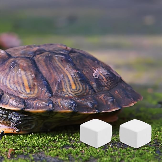 BESPORTBLE 12pcs PET Natural Blocks for Reptiles Supplement for Shell Growth and Health Essential Reptile Accessories for Terrarium Kits