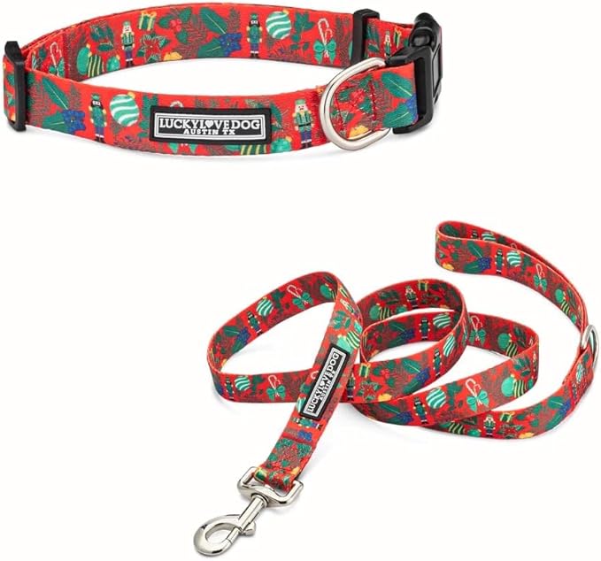 Lucky Love Dog - Easy Click Buckle Dog Collar with Leash Set Combo, Durable & Comfortable for Male & Female Dogs, Pet Collar for Small Dogs, Secure Fit - Fritz Combo, XS