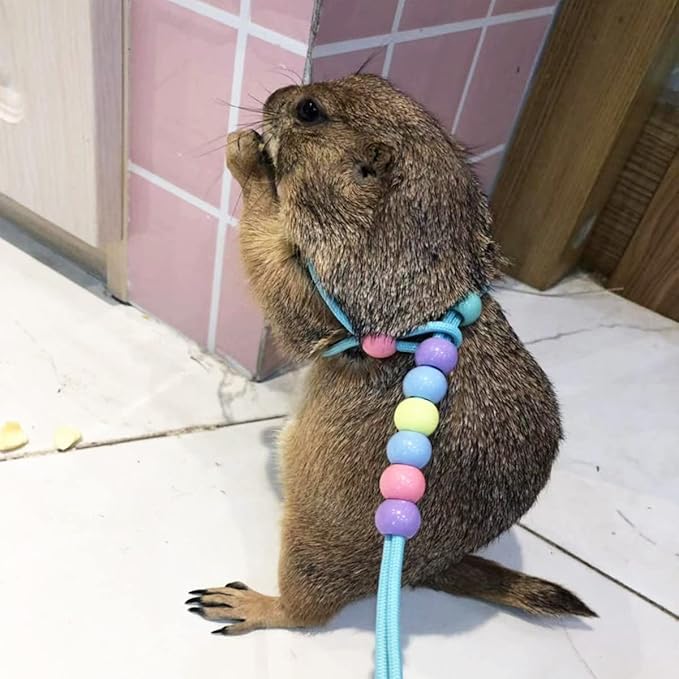 1 Pcs Adjustable Lizard Harness Walking Harness Bearded Dragon Leash Reptile Dragon Leash Harness Lead for Small Animal Hamster Reptiles