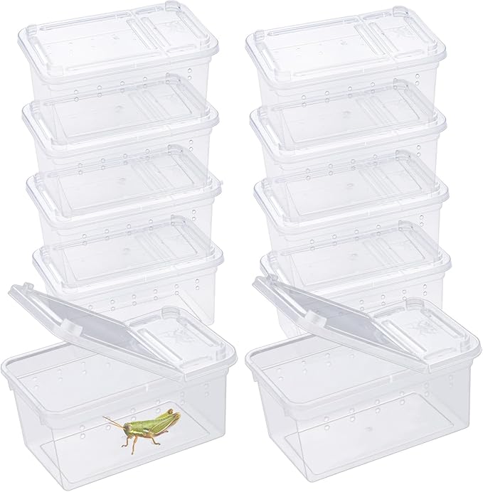 10Pcs Reptile Feeding Box, Transparent Animal Habitat Cage Spider Terrarium, Plastic Breeding Box for Reptile Turtle Spider Frog Scorpion Snake (3.6 x 2.1 x 1.9 in)