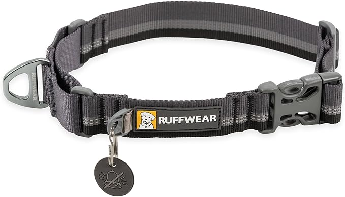Ruffwear, Web Reaction Dog Collar, Escape-Proof Security Buckle, Adjustable Anti-Slip Martingale Collar with Durable Nylon Tubelok Webbing & Silent ID Attachment, Basalt Gray, 14"-17"
