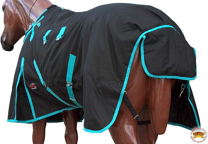 Black with Turquoise Trims 66 inch HILASON 1200D Winter Waterproof Poly Horse Turnout Blanket Belly Wrap