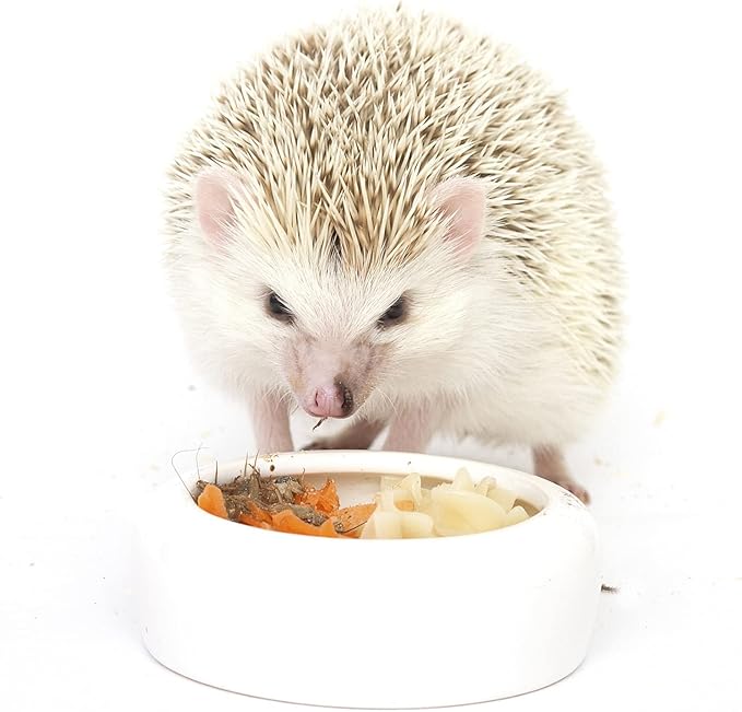 Exotic Nutrition Hedgehog Treat Sampler - Healthy Natural Treat Variety Pack - High Protein Insect Variety Pack for Pet Hedgehogs