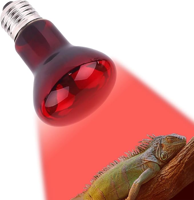 50W Infrared Heat Lamp Bulb E26 Base Red Basking Spot Light for Reptile Terrarium, Non-Disruptive Night Heater for Bearded Dragons Snake Turtle and Amphibian 2 Pack