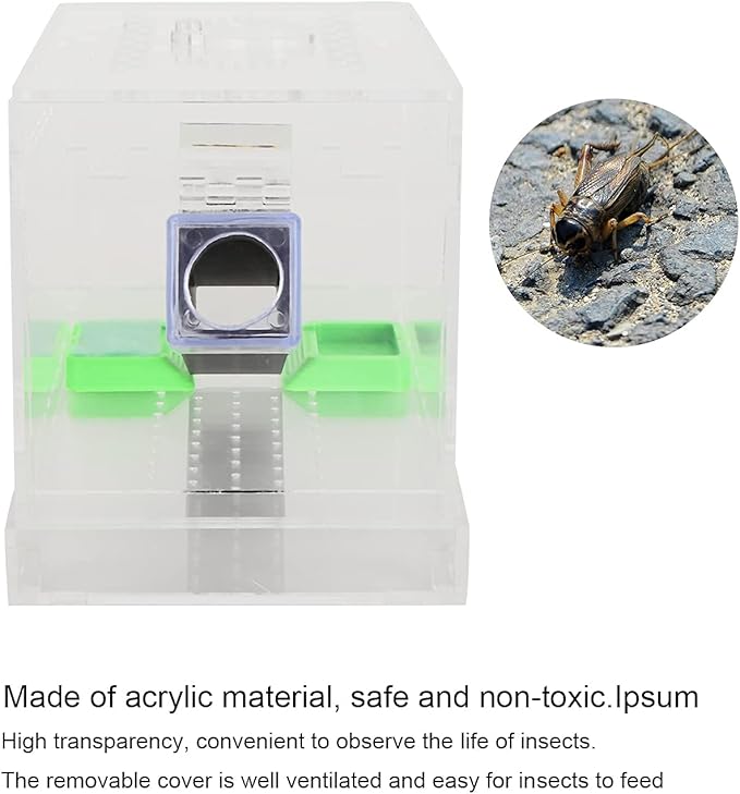 Transparent Acrylic Reptile Feeding Cricket, Cricket Care Kit Cricket Keeper with Tubes Cricket Keeper Tank Box(S)