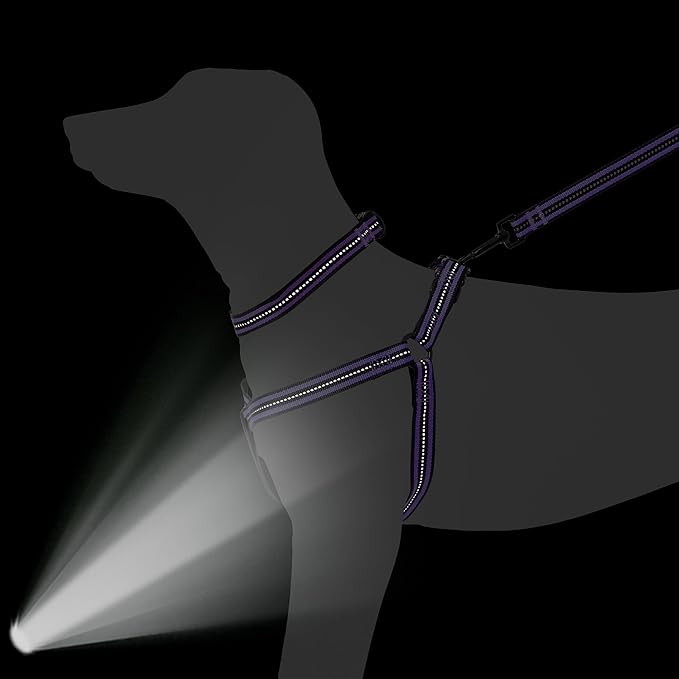 Mile High Life Night Reflective Double Adjustable Band Nylon Small Puppy Pet Dog Combo Collar Leash and Harness Set (Reflective Stripe Purple, Small (Pack of 3))