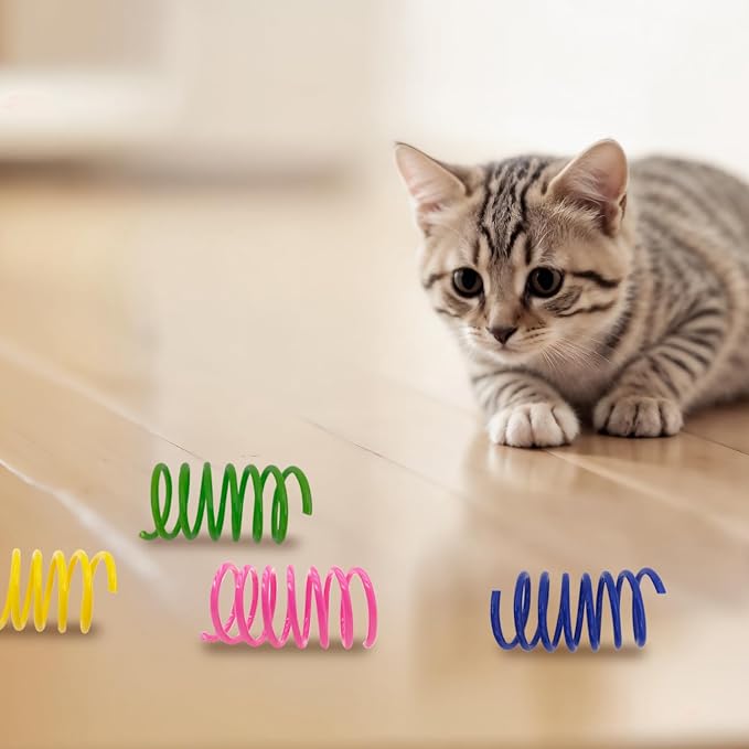 Cat Spring Toys 60 Pack, Interactive Toys for Kittens to Swat, Bite & Hunt, Colorful Durable Plastic Spiral Springs for Indoor Cats - Image 6