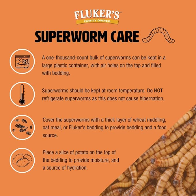 Fluker's Live Superworms, 100 Count Insects for Reptiles, Chickens, and Birds, Large (Approx. 1.25"-1.75")