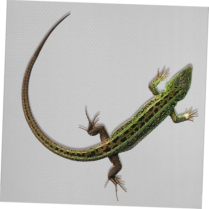 Yardwe Eva Reptile Carpet Tortoise Bedding Reptile Tank Substrate Gecko Mat Easy Clean Soft Surface