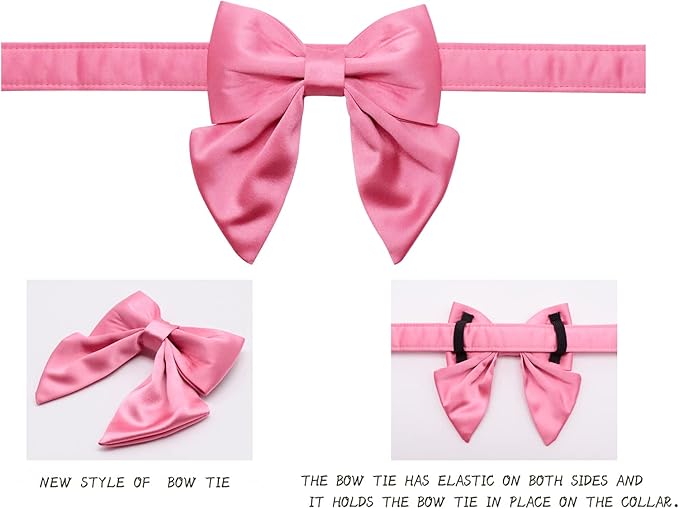 Lionet Paws Bowtie Dog Collar - Comfortable Silk Dog Collar with Detachable Bow Tie for Puppy and Cat, Neck 8-12 Inches