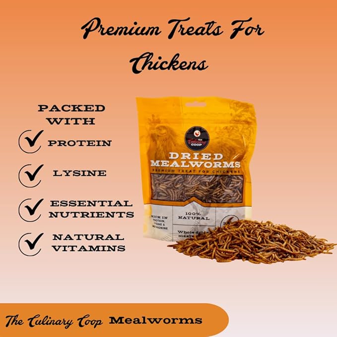 Fluker's Culinary Coop Premium Chicken Treats, Mealworms 3.5 oz, High Protein Worm, Nutritious Treat