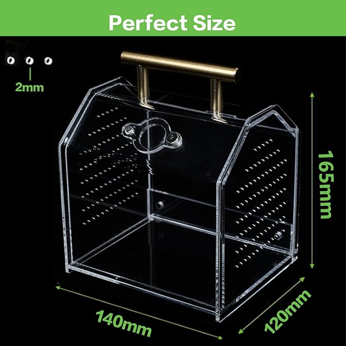 Jumping Spider Enclosure, Large Insect Terrarium, Praying Mantis Habitat, Large Insect Terrarium,Reptile Enclosure,Spider Habitat Caterpillar Habitat (5.5‘’x4.7''x6.5'')