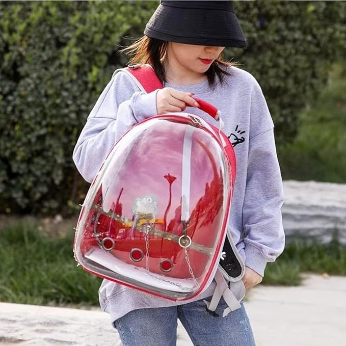 Portable Travel Bird Cage for Small Birds, Lightweight Breathable Carrier with Handle & Double-Zipper Design