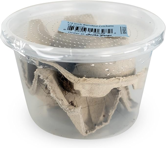 Josh's Frogs 1/2" Banded Crickets (72 Count)