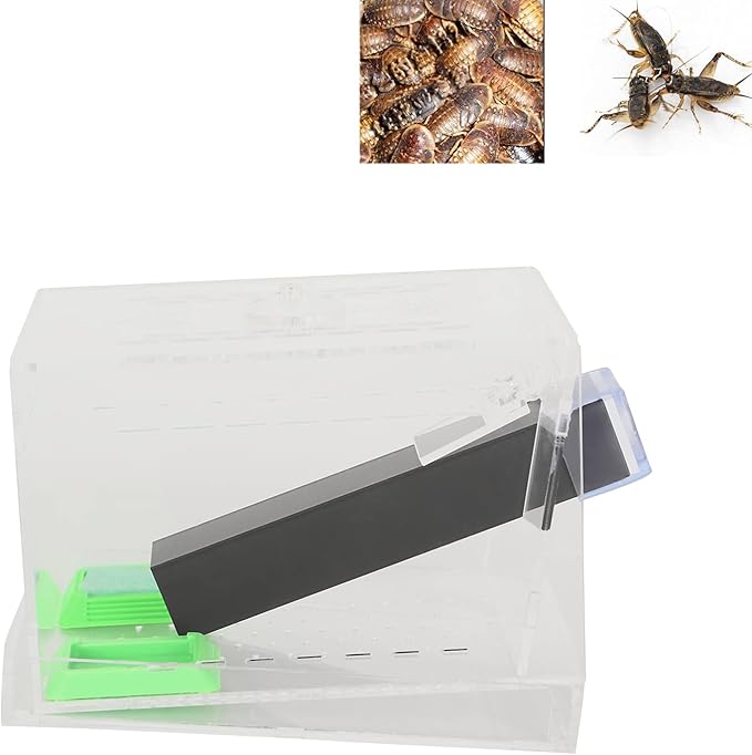 Acrylic Feeding Cricket Keeper Pen with Tubes Care Kit Tank Box for Reptile (Small 9x9x11cm/ 3.54x3.54x4.33in)