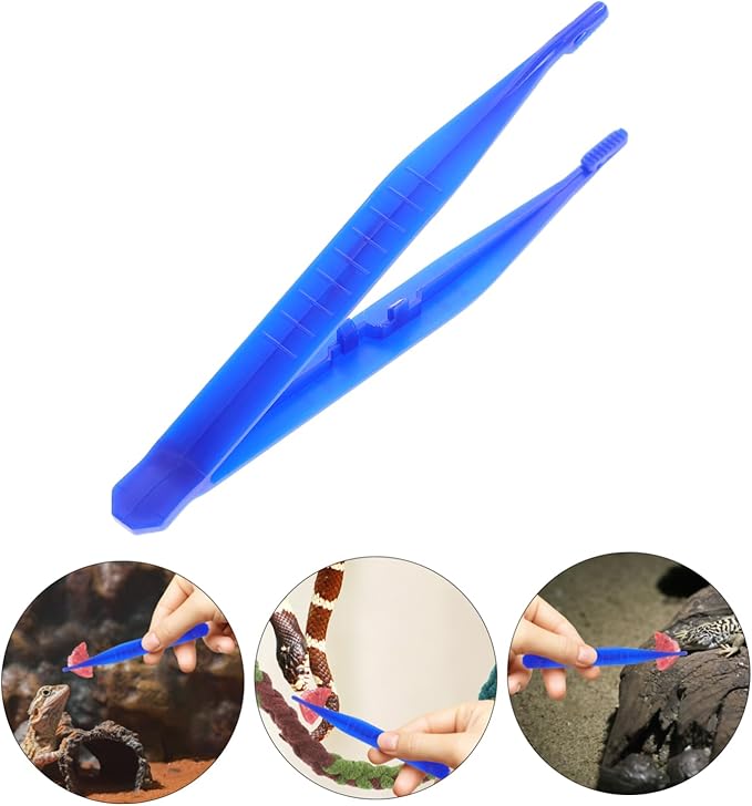 BESPORTBLE 6pcs Plastic Reptile Feeding Tweezers Lizard Spider Gecko and Scorpion Food Clips Practical Tools for Reptile Owners Suitable for Feeding Tortoises and Frogs