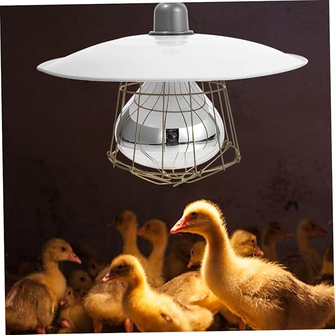 Heat Lamp Heater Chicken Light Bulb Heating Lamp Pet Reptile Stand Brooder Fixture Brooding Heat Preservation Poultry Thermostat Reptile Warm Keep Grey Glass