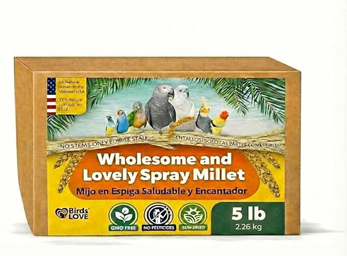 5lbs Wholesome Spray Millet for Birds – USA Grown, Harvested & Packed – 100% Natural Sun-Dried Millet Clusters – for Parakeets, Cockatiels, Conures, Budgies, Finches & All Parrots