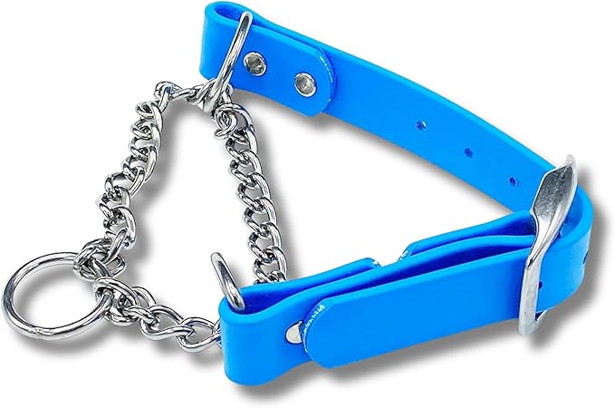 Martingale Collar for Dogs, Biothane, Stainless Steel Hardware, No Pull, Made in The USA, Professional Grade, Large Light Blue