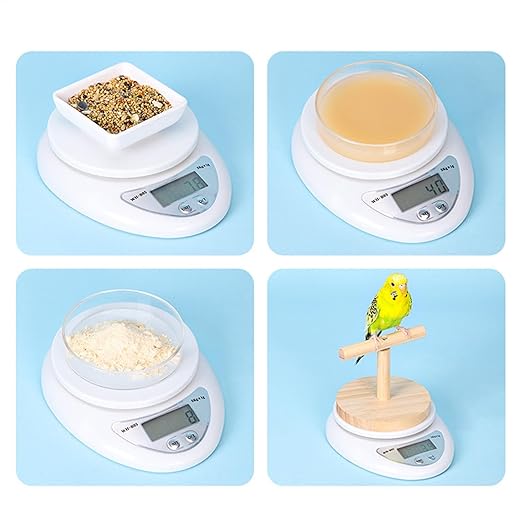 Parrot Scale - Small Pet Digital Scale | Bird Weight Balance Tool, Budgies Weighing Scale, Bird Weight Measuring Tool, Convenient Weight Changing Monitoring Tool for Medication Milk Powd