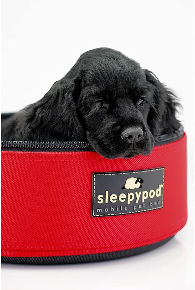 Sleepypod Mini for Pets Under 7 lbs (Robin Egg Blue)
