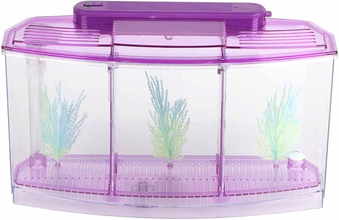 2 Betta Fish Tank With Divider, Aquarium Fish LED Acrylic Three Divisions Breeding Isolation Box for Small Fishes Aquarium Fish ()