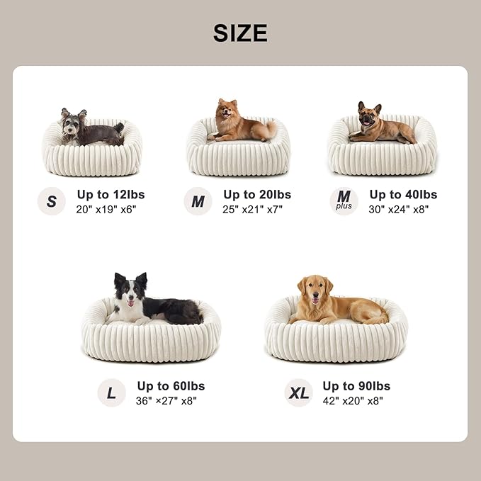 FURTIME Dog Bed Medium Size Dog, Washable Orthopedic Pet Bed with Removable Cover, Rectangle Soft Calming Sleeping Puppy Bed Durable Pet Cuddler with Anti-Slip Bottom, Cream, M Plus (30"x24"x8")