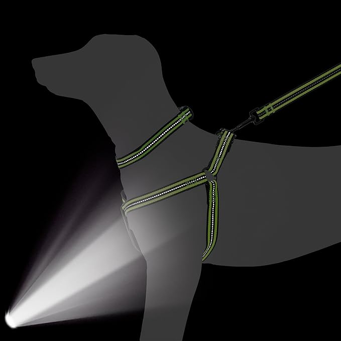 Mile High Life Night Reflective Double Adjustable Band Nylon Small Puppy Pet Dog Combo Collar Leash and Harness Set (Reflective Stripe Lime Green, Small (Pack of 3))